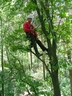 treeworker_07.jpg